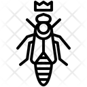 Queen Bee  Icon