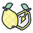 Quince Fruit Food Icon