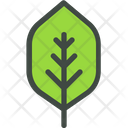 Quince Leaf Nature Icon
