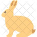 Animal Bunny Easter Bunny Icon