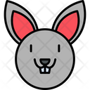 Rabbit Animal Bunny Icon