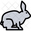 Rabbit Pet Animal Icon