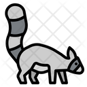 Raccoon Forest Zoo Icon
