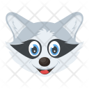 Raccoon Head Face Icon
