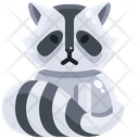 Raccoon Zoo Zoology Icon