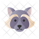 Raccoon Animal Wildlife Icon