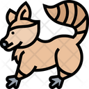 Raccoon Furry Animal Icon