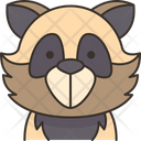Raccoon Face Icon