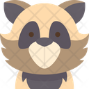 Raccoon Face Icon