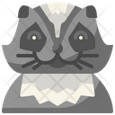 Racoon Wildlife Wild Icon