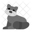 Racoon Icon