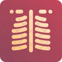 Xray Radiology Scan Icon