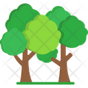 Rainforest Nature Forest Icon