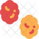 Raisin Fruit Dry Icon