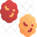 Raisin Fruit Dry Icon