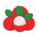 Rambutan Fruit Fresh Icon