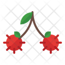 Rambutan Organic Vegetarian Icon