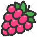 Raspberry  Icon
