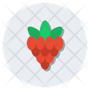 Healthy Fruit Raspberry Berry Icon