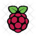Raspberry  Icon