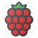 Raspberry  Icon