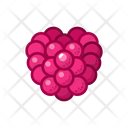 Raspberry  Icon