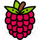 Raspberry Food Eating Icon