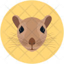 Rat Mouse Pet Icon