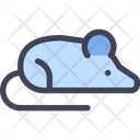 Rat Mouse Experimental Animal Icon