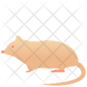 Rat Animal Creature Icon