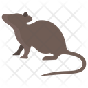Rat Animal Wildlife Icon