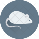 Rat Mouse Animal Icon