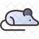 Rat Experiment Animal Experiment Vaccine Testing Icon