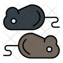 Rat Testing Icon