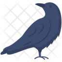 Raven Bird Crow Icon