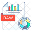 Raw File Raw Data Raw Format Icon
