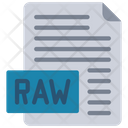 Raw File Raw Document Raw Icon