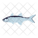 Rawas Fish Icon