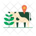 Real time tracking  Icon