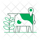 Real-time tracking  Icon