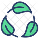 Biodegradable Recycling Reuse Icon
