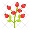 Red berries Icon