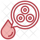 Red Blood Cells Erythrocytes Blood Cells Icon