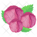 Red Cabbage Icon