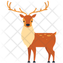 Red Deer Icon