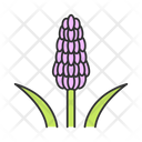 Red Hot Poker Icon