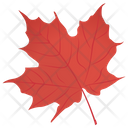 Red Maple Maple Leaf Leaf Icon