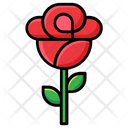 Flower Red Rose Garden Flower Icon