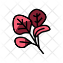 Red Spinach Icon