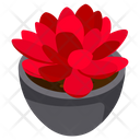 Red Succulent Icon